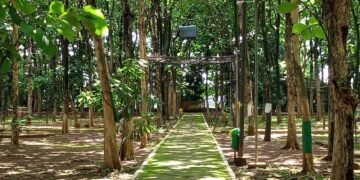 Hutan Kota Rajawali, Produsen Oksigen Di Kabupaten Batang