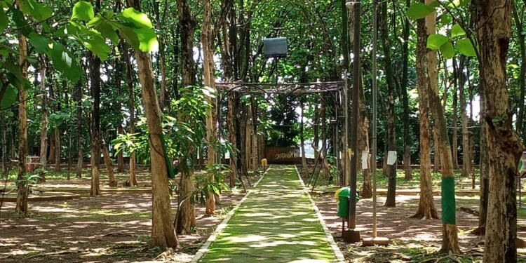 Hutan Kota Rajawali, Produsen Oksigen Di Kabupaten Batang