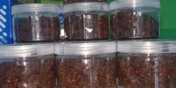 GELIAT UMKM DI YAYASAN BANGUN PEMUDA INDONESIA BATANG JAWA TENGAH