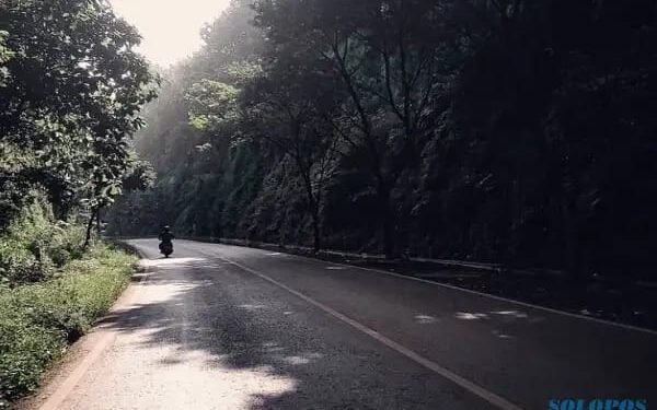 Perjalanan Sejarah Alas Roban Batang: Misteri yang Terus Menghantui dari Masa ke Masa