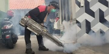 Pengasapan Masih jadi Andalan Warga Musnahkan Virus DBD
