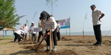 Hari Lingkungan Hidup, Kantah Batang Tanam Ratusan Bibit Pohon Cemara di Pantai Kuripan