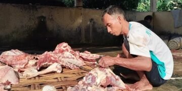 RPH Sambong Rujukan Penyembelihan Puluhan Hewan Kurban