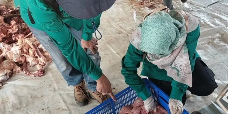 Petugas Keswan Intens Sidak Cacing Hati