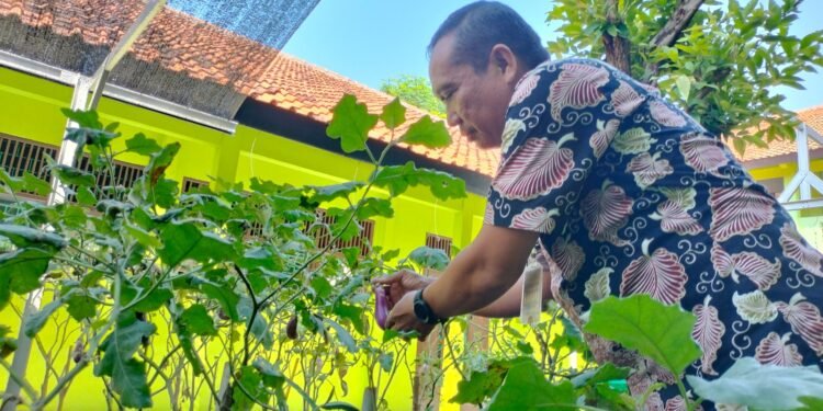 Ruang Terbuka Hijau Giring Adiwiyata