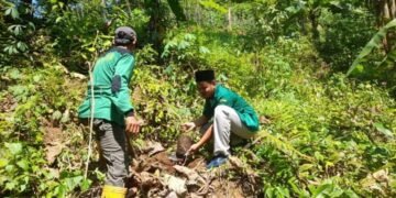 Penanaman Pohon untuk Kelestarian Alam dan Menjaga Sumber Mata Air