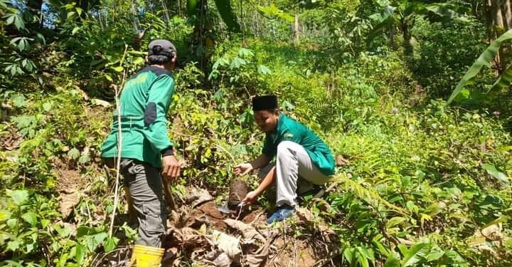 Penanaman Pohon untuk Kelestarian Alam dan Menjaga Sumber Mata Air