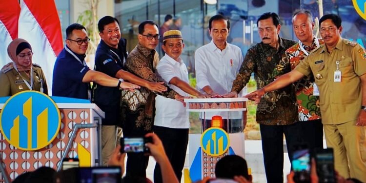 Presiden Jokowi Resmikan Operasional KIT Batang