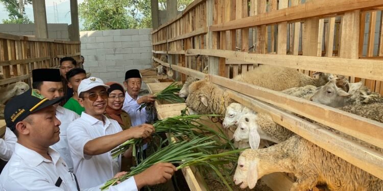 Baznas RI Luncurkan Balai Ternak di SMK Peternakan Lembah Hijau Batang