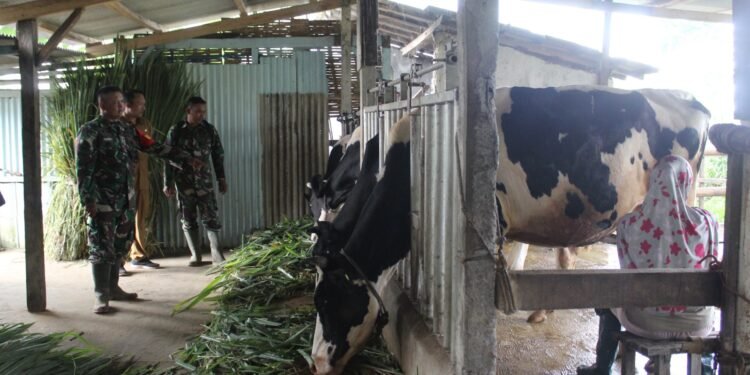 Dansatgas TMMD Sambangi Rumah Warga Pemilik Usaha UMKM Sapi Perah