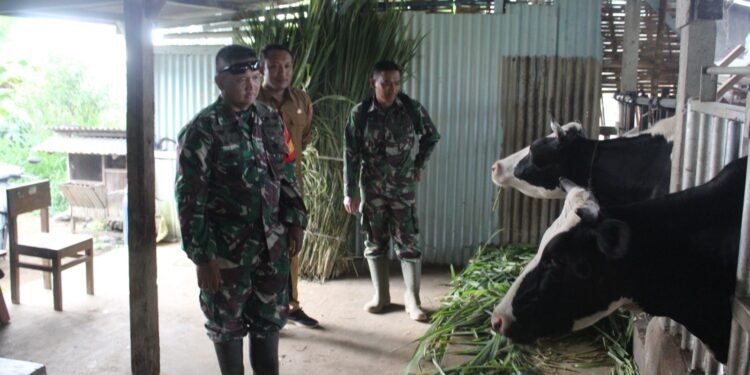 Dansatgas TMMD Sambangi Rumah Warga Pemilik Usaha UMKM Sapi Perah