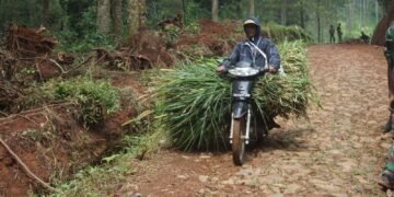 Berkat TMMD Reguler Ke – 121, Warga Menjadi Mudah Melaksanakan Aktivitas Setiap Harinya