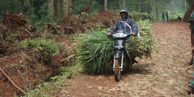 Berkat TMMD Reguler Ke – 121, Warga Menjadi Mudah Melaksanakan Aktivitas Setiap Harinya