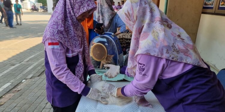 Peringatan Hari Rabies Sedunia, 200 Vaksin Rabies Disiapkan Dislutkanak Batang Secara Gratis