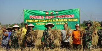 Kodim Batang Sukses Panen Padi Pro Tangguh