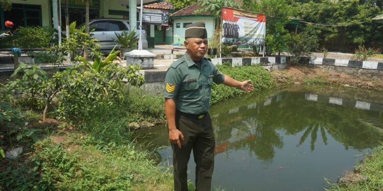 Manfaatkan Lahan Kosong, Koramil Warungasem Budidaya Ikan Air Tawar