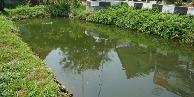 Manfaatkan Lahan Kosong, Koramil Warungasem Budidaya Ikan Air Tawar