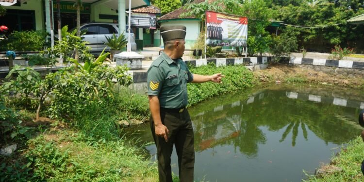 Manfaatkan Lahan Kosong, Koramil Warungasem Budidaya Ikan Air Tawar
