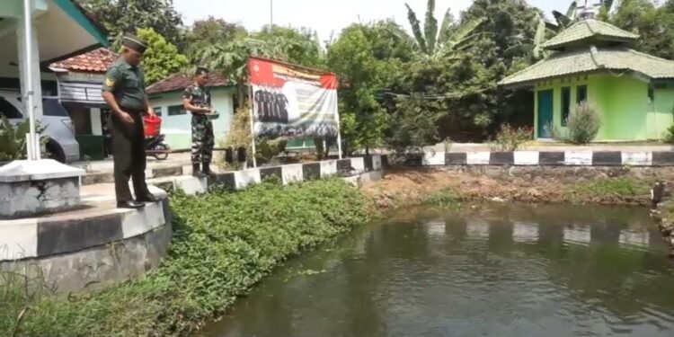 Manfaatkan Lahan Kosong, Koramil Warungasem Budidaya Ikan Air Tawar