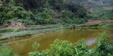 Disparpora Batang Bakal Lengkapi Telaga Mendongan dengan Perahu Wisata