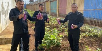 Dari Lahan Tidur ke Lumbung Pangan, Jadikan Kisah Inspiratif Lapas Batang