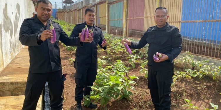 Dari Lahan Tidur ke Lumbung Pangan, Jadikan Kisah Inspiratif Lapas Batang