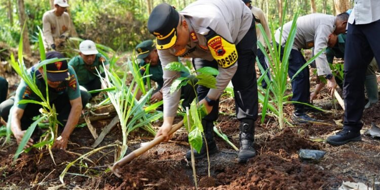 Manfaatkan Lahan Kosong, Polres Batang Sukseskan Program Ketahanan Pangan