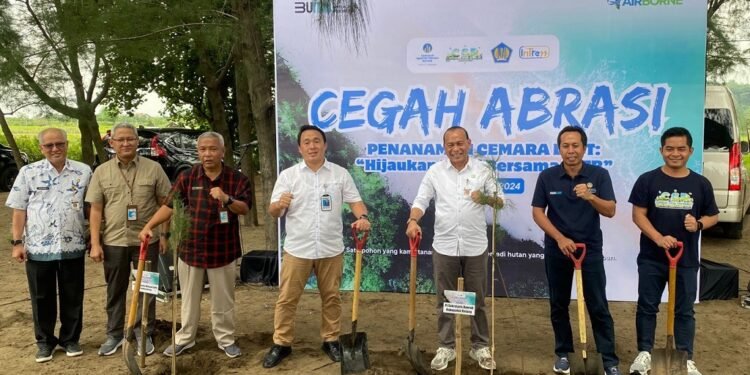 Cegah Abrasi, KITB Tanam 2.500 Cemara Sepanjang Pantai Celong-Jodo