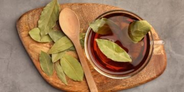 Manfaat Rebusan Daun Salam untuk Penyakit Apa Saja? Ini 10 Daftarnya…