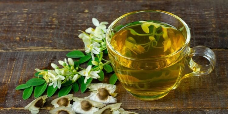 Apa Saja Manfaat Minum Air Rebusan Daun Kelor? Berikut 7 Daftarnya…