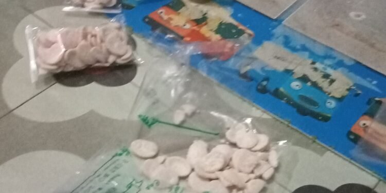 ASIAFI Dan ASKI Batang Apresiasi Kemenpora Terus Ajak Masyarakat Hidup Sehat dengan Senam