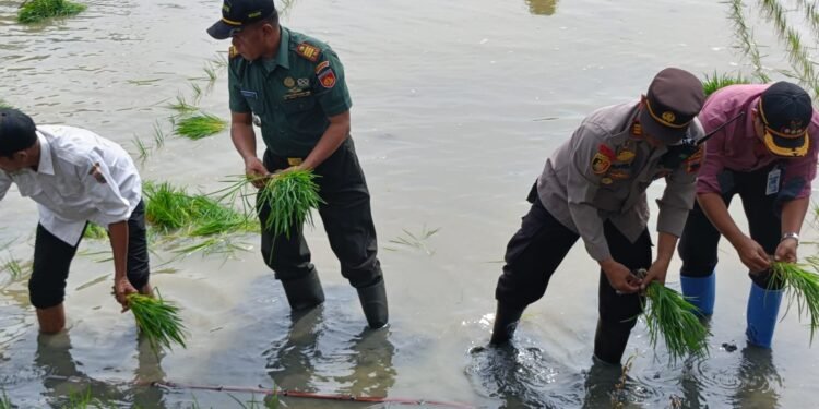Dukung Asta Cita, Forkopimcam Batang Optimalkan Lahan Produktif