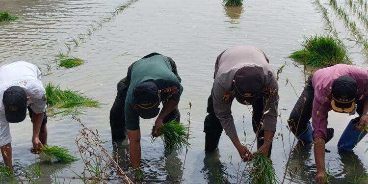 Dukung Asta Cita, Forkopimcam Batang Optimalkan Lahan Produktif