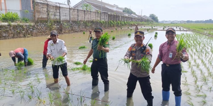 Dukung Asta Cita, Forkopimcam Batang Optimalkan Lahan Produktif