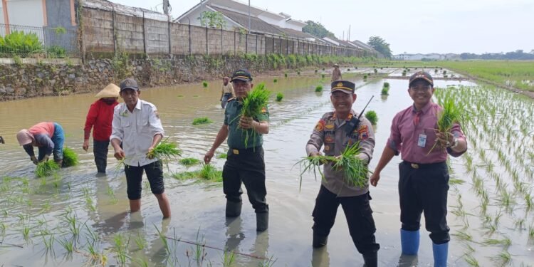 Dukung Asta Cita, Forkopimcam Batang Optimalkan Lahan Produktif