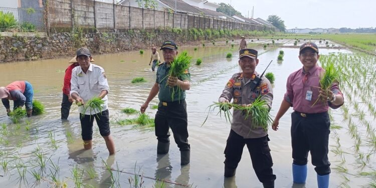 Dukung Asta Cita, Lahan Produktif di Batang Dioptimalkan