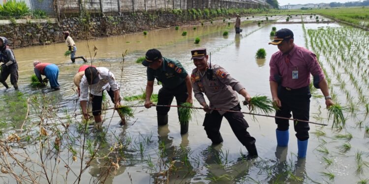 Dukung Asta Cita, Lahan Produktif di Batang Dioptimalkan
