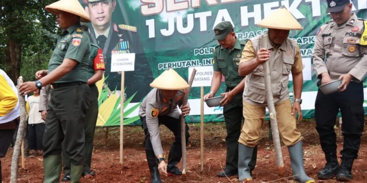 Dukung Swasembada Pangan, Polres Batang Kembangkan 100 Hektar Jagung
