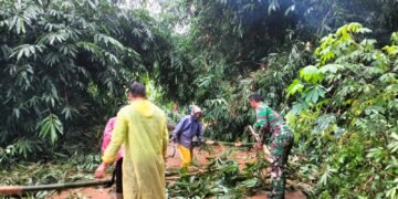 Babinsa Desa Kalibalik Bersihkan Material Longsor