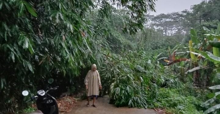 Babinsa Desa Kalibalik Bersihkan Material Longsor