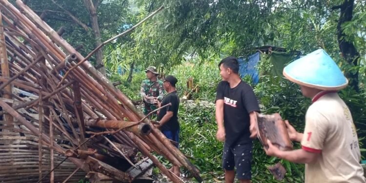 Babinsa Bersihkan Material Rumah Ambruk Akibat Tertimpa Pohon Tumbang