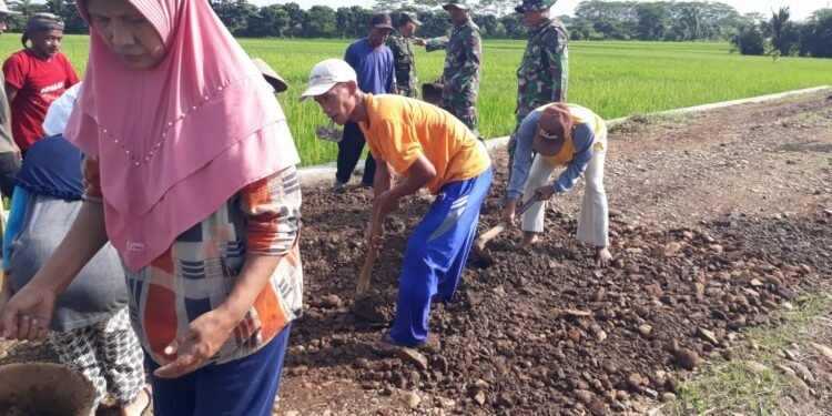 Semangat Gotong Royong, Ibu-Ibu Angkut Tanah Dilokasi TMMD Sengkuyung Tahap I Desa Cepagan