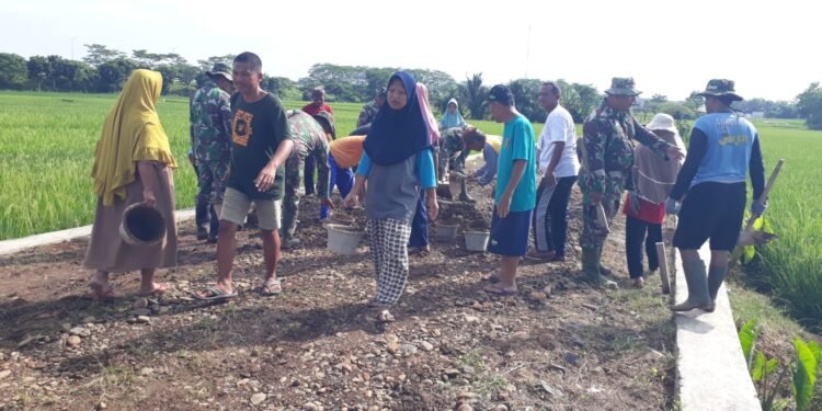 Semangat Gotong Royong, Ibu-Ibu Angkut Tanah Dilokasi TMMD Sengkuyung Tahap I Desa Cepagan