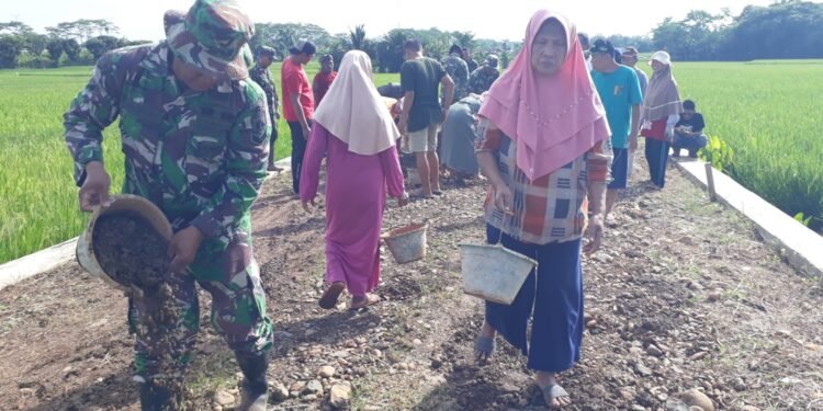 Semangat Gotong Royong, Ibu-Ibu Angkut Tanah Dilokasi TMMD Sengkuyung Tahap I Desa Cepagan