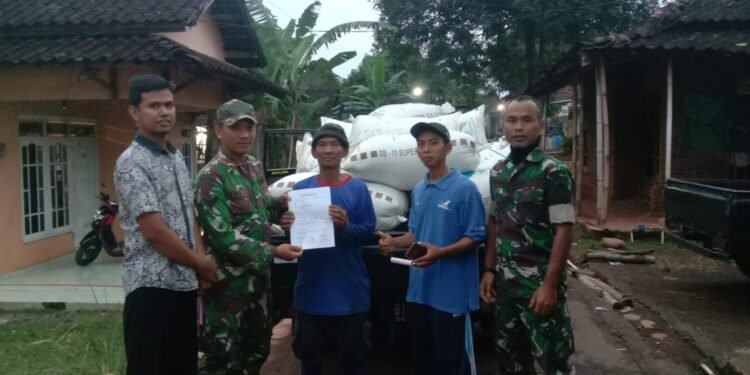 Babinsa Desa Brokoh Dampingi Pembelian Gabah oleh Bulog