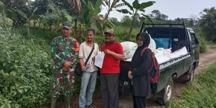 Babinsa Desa Brokoh Dampingi Pembelian Gabah oleh Bulog