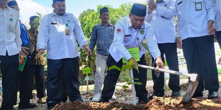 Lestarikan Bumi, Kemenag Batang Tanam 1.000 Pohon Matoa