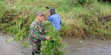 Babinsa Koramil 03/Gringsing Bersama Warga Bersihkan Saluran Irigasi