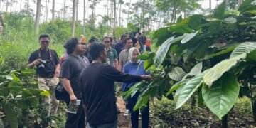 Standarisasi Perlu Diintensifkan, Demi Temukan Kopi Batang Berkualitas