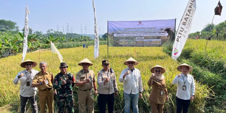 Wujudkan Ketahanan Pangan, BPI Bersama Dispaperta Panen Raya Padi di Lahan Pengganti